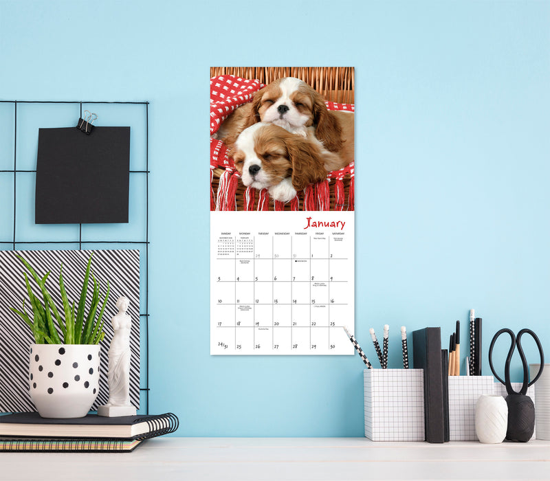 Pooped Puppies 2027 Mini Wall Calendar