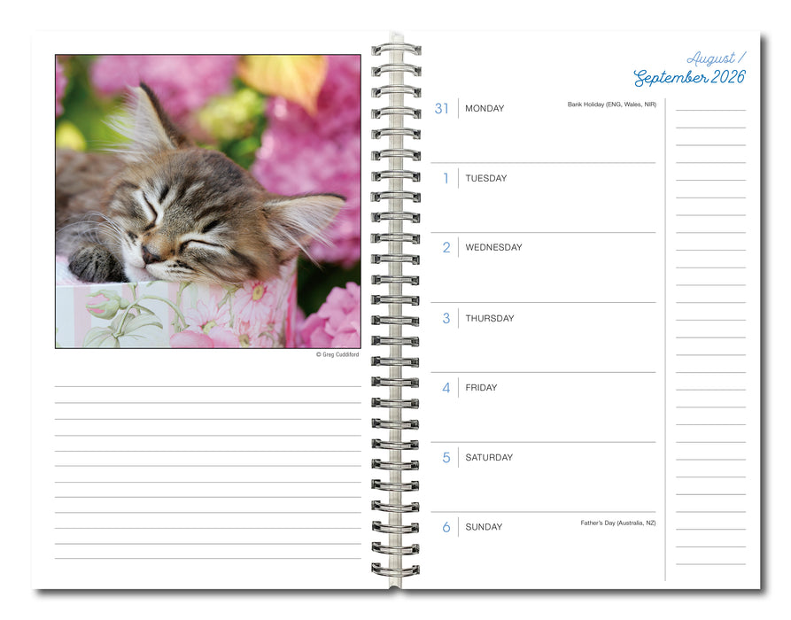 Cat Naps Classic 2027 Weekly Diary