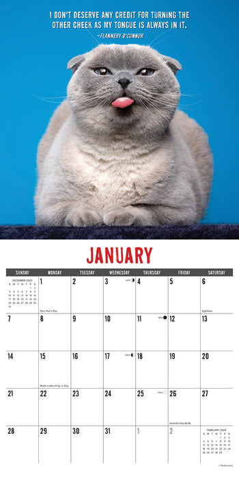 2024 Bad Kitties Wall Calendar