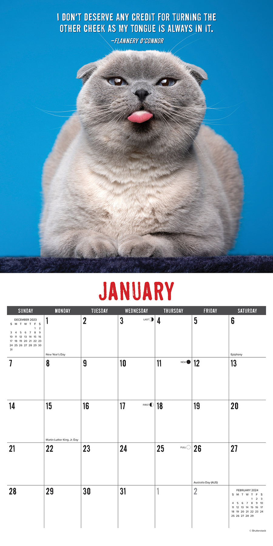 2024 Bad Kitties Wall Calendar — Calendar Club