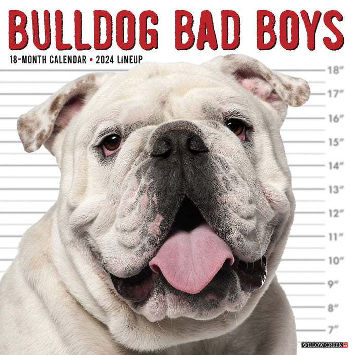 2024 Bulldog Bad Boys Wall Calendar