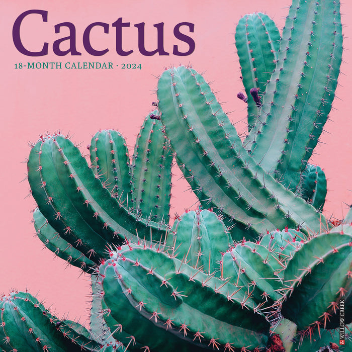 2024 Cactus Wall Calendar