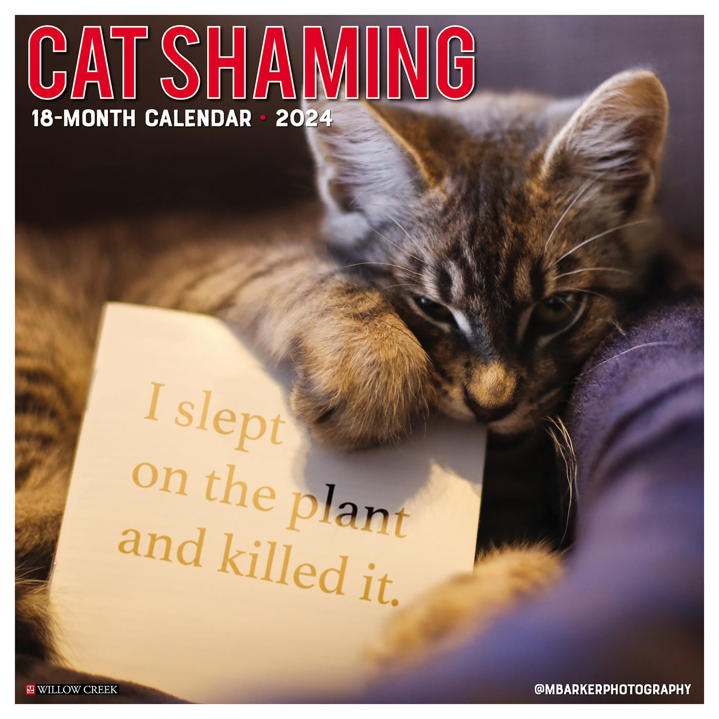2024 Cat Shaming Wall Calendar — Calendar Club