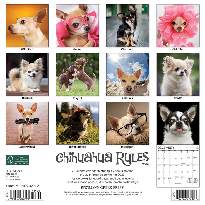 2024 Chihuahua Rules Wall Calendar Exclusive) — Calendar Club