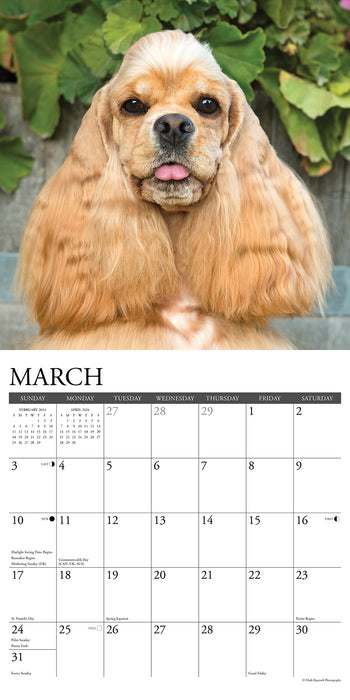 2024 Just Cocker Spaniels Wall Calendar