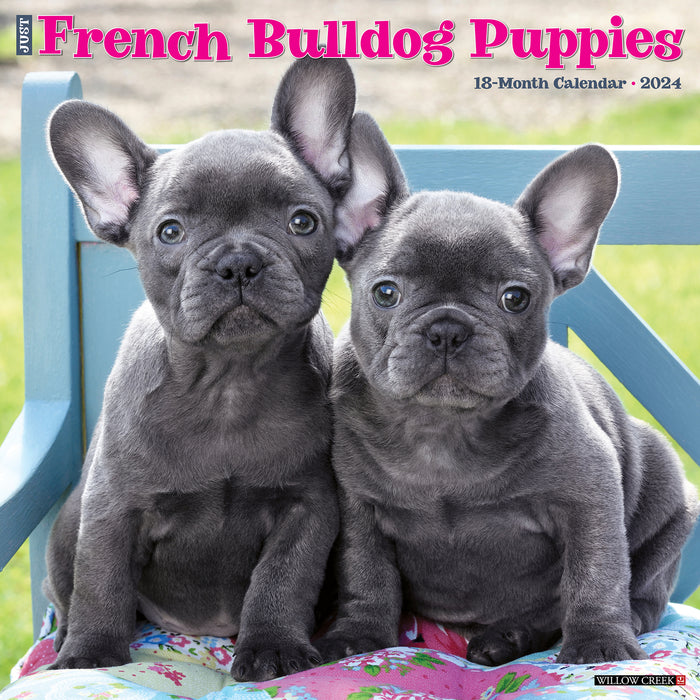 2024 Just French Bulldog Puppies Wall Calendar