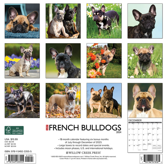 2024 Just French Bulldogs Wall Calendar