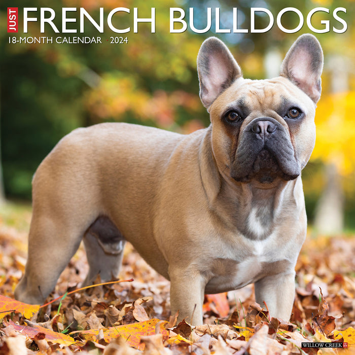 2024 Just French Bulldogs Wall Calendar