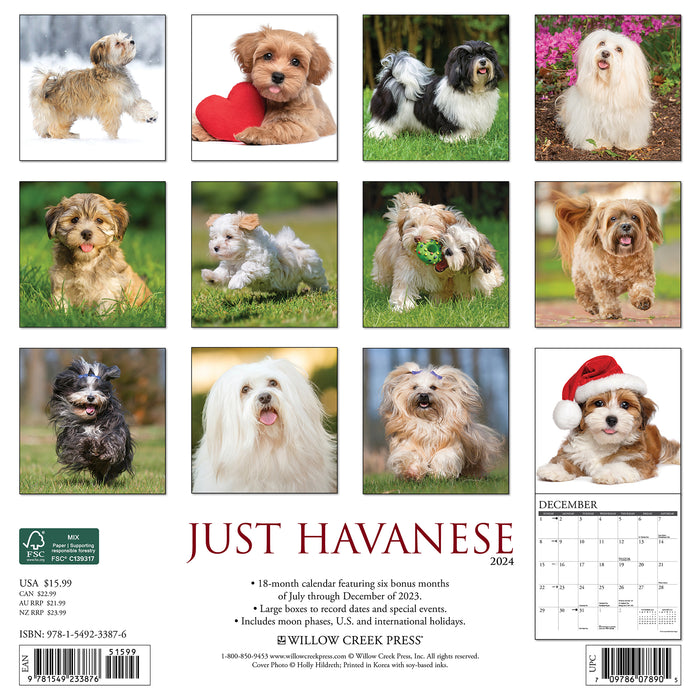 2024 Just Havanese Wall Calendar (Online Exclusive)