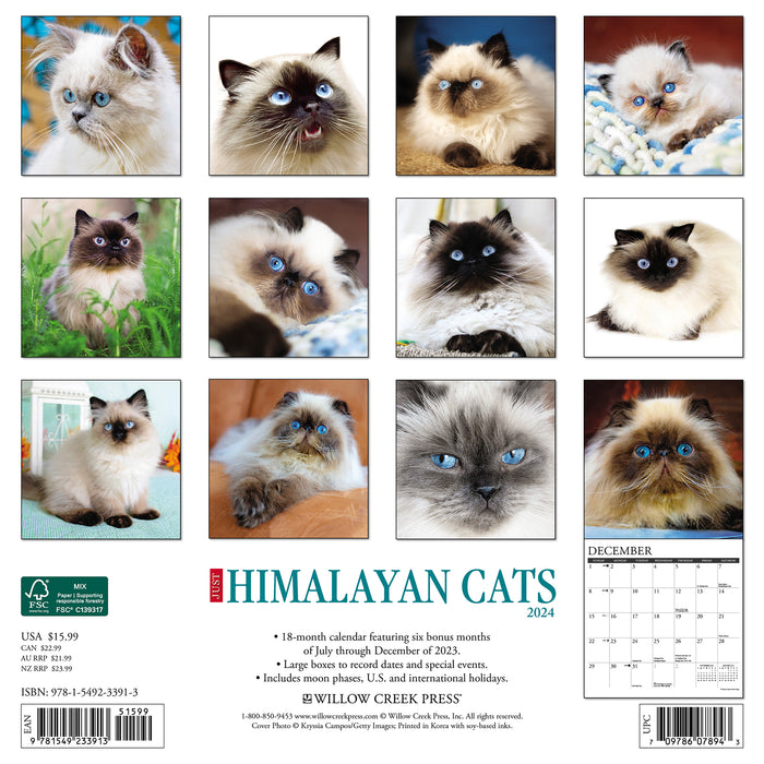 2024 Just Himalayan Cats Wall Calendar (Online Exclusive)
