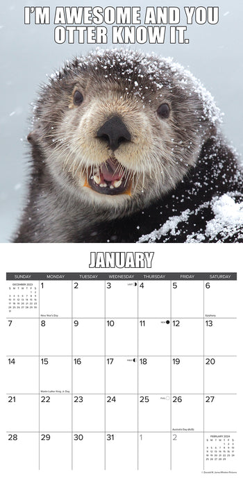2024 In Otter News Wall Calendar