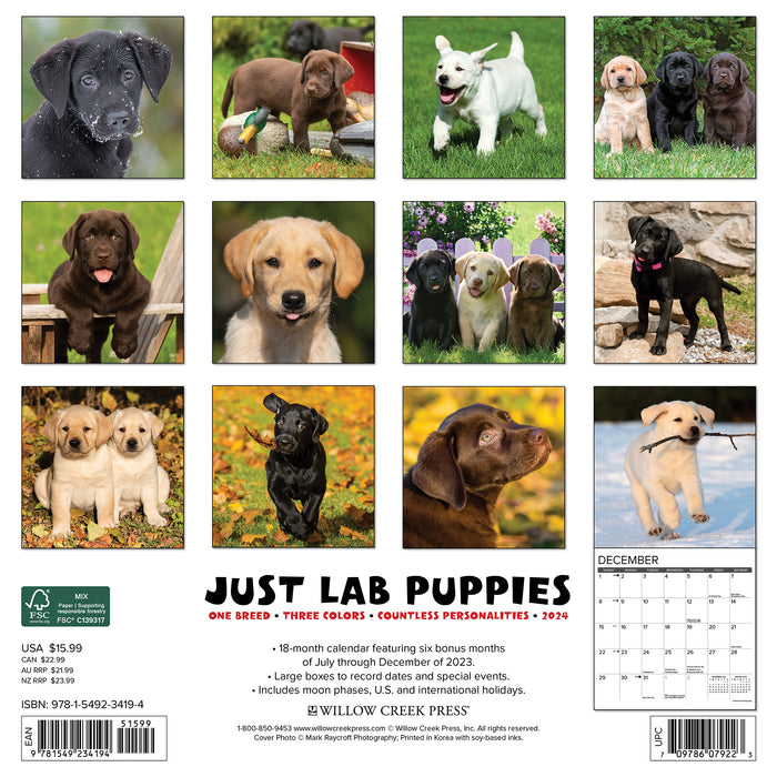 2024 Just Lab Puppies Wall Calendar