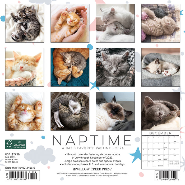 2024 Naptime Cats Wall Calendar