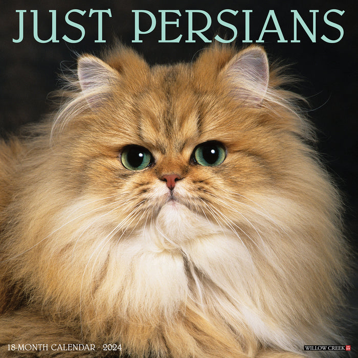 2024 Just Persians Wall Calendar (Online Exclusive)