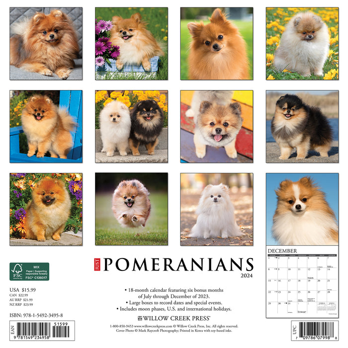 2024 Just Pomeranians Wall Calendar