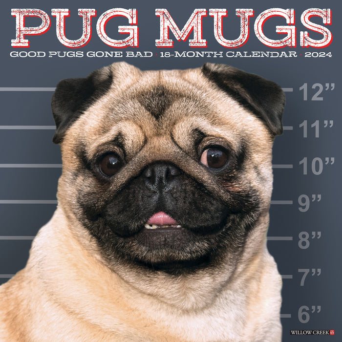 2024 Pug Mugs Wall Calendar
