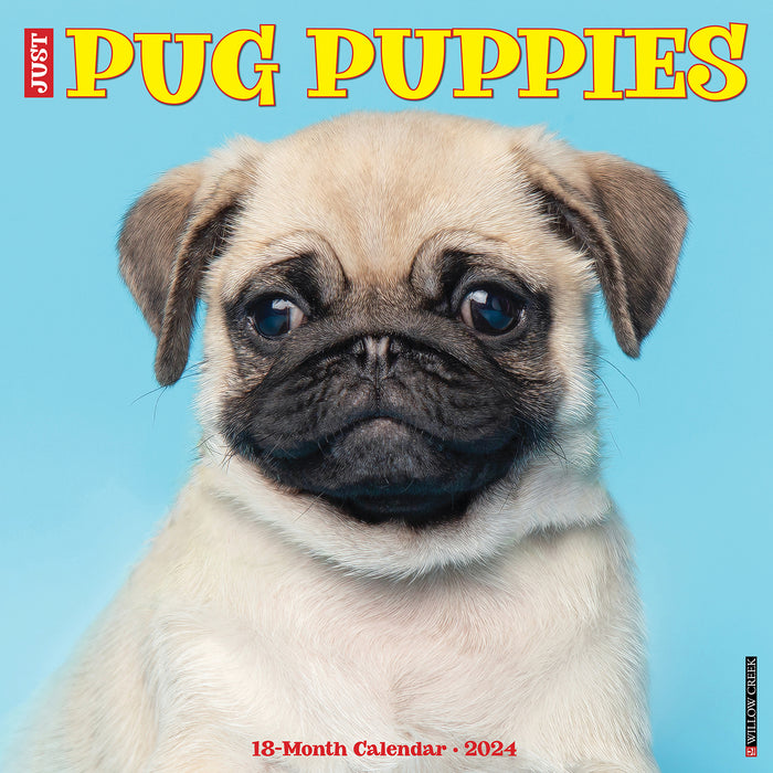 2024 Just Pug Puppies Wall Calendar