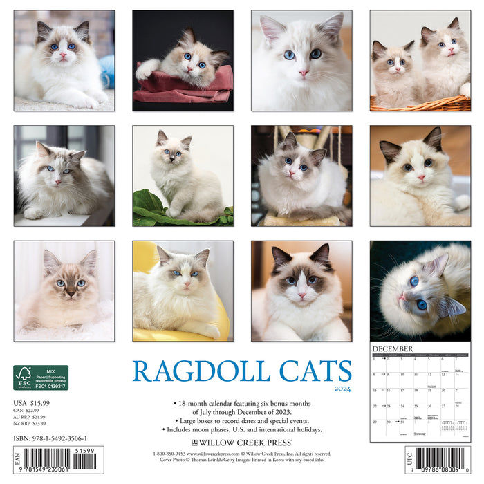 2024 Ragdoll Cats Wall Calendar