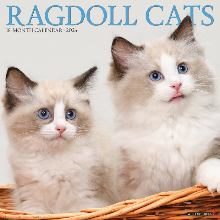 2024 Ragdoll Cats Wall Calendar