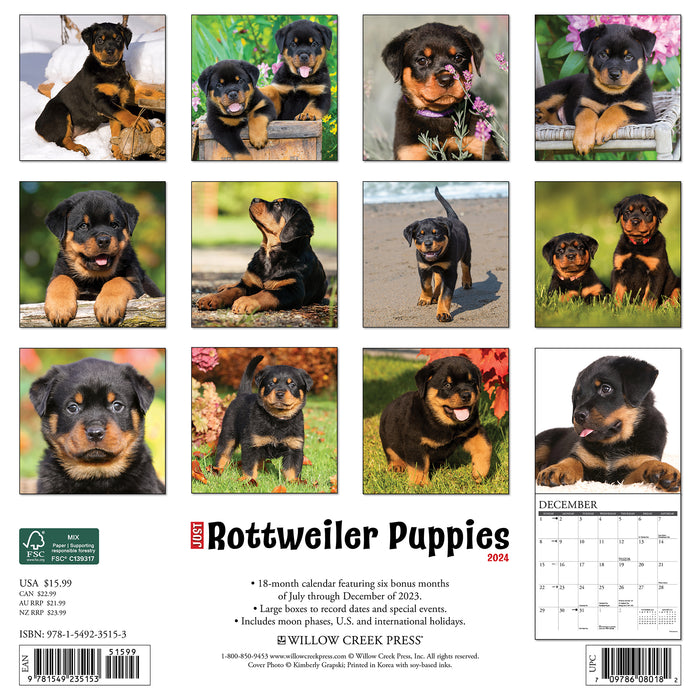 2024 Just Rottweiler Puppies Wall Calendar