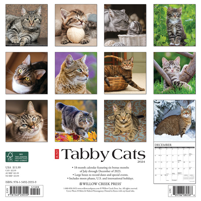 2024 Just Tabby Cats Wall Calendar (Online Exclusive)