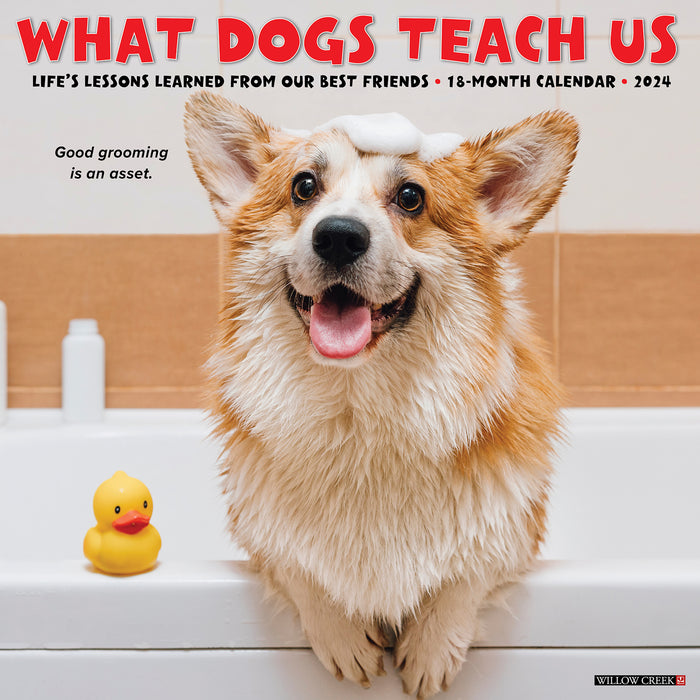 2024 What Dogs Teach Us Wall Calendar