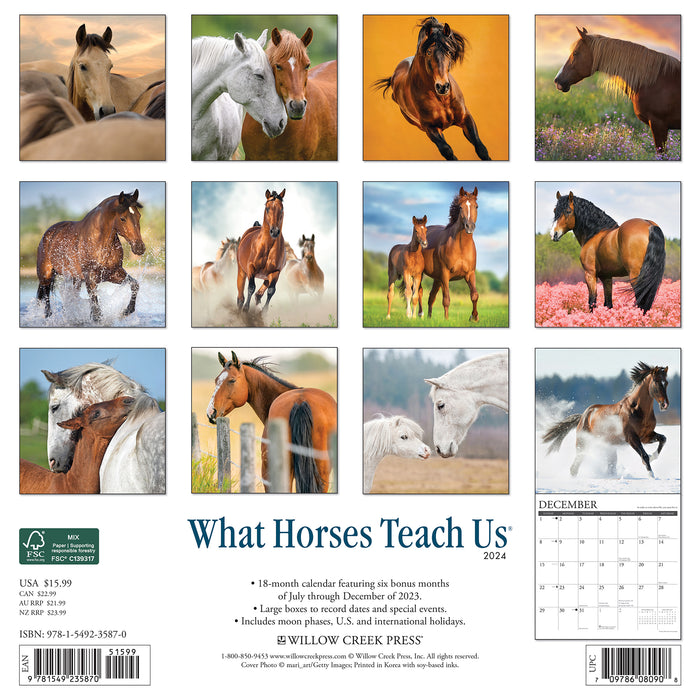 2024 What Horses Teach Us Wall Calendar