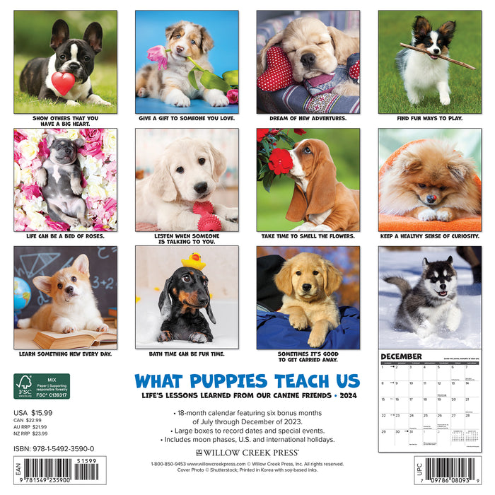 2024 What Puppies Teach Us Wall Calendar
