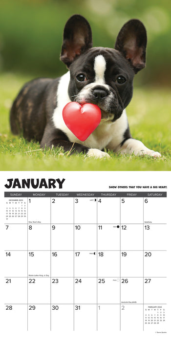 2024 What Puppies Teach Us Wall Calendar