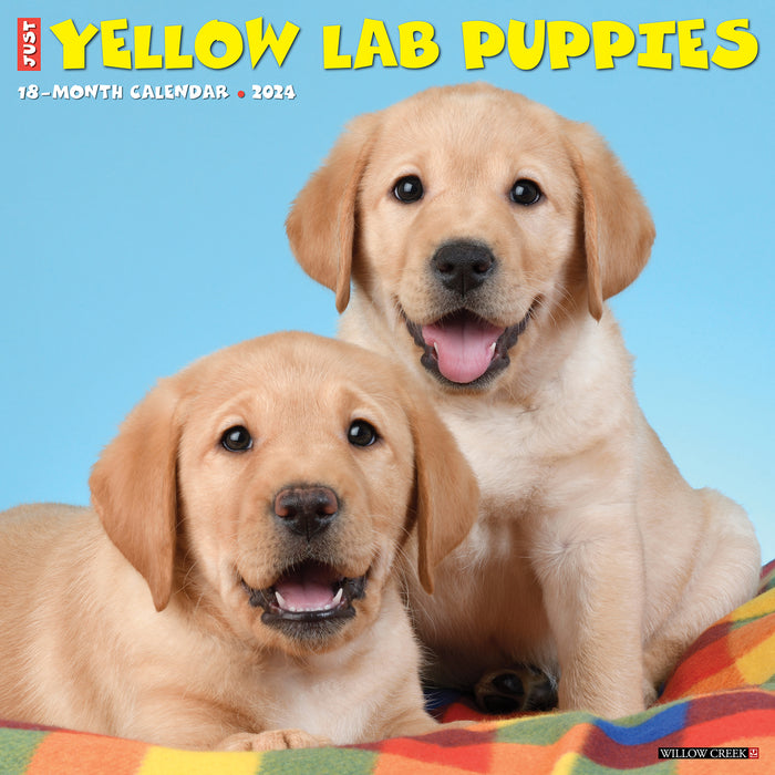 2024 Just Yellow Lab Puppies Wall Calendar (Online Exclusive)