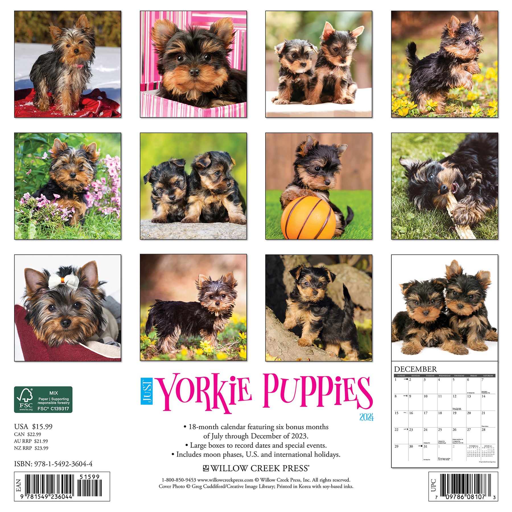2024 Just Yorkie Puppies Wall Calendar — Calendar Club