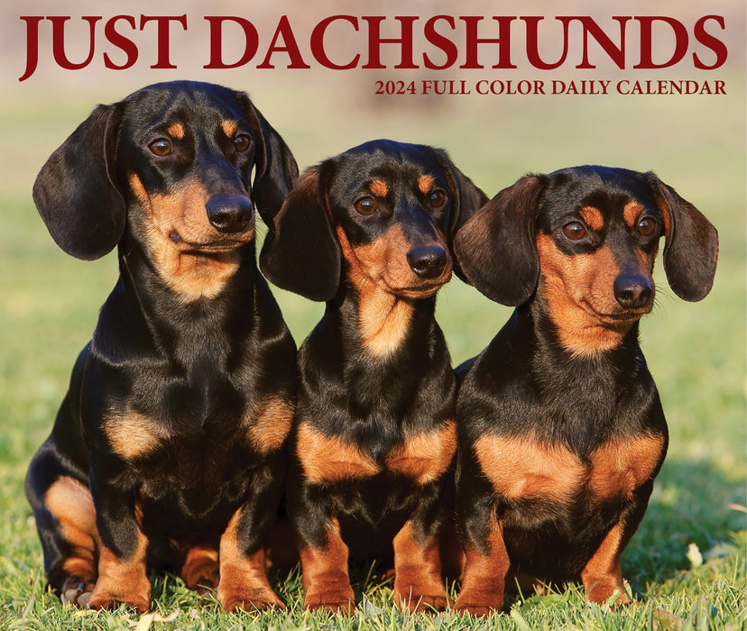 2024 Dachshunds Page-A-Day