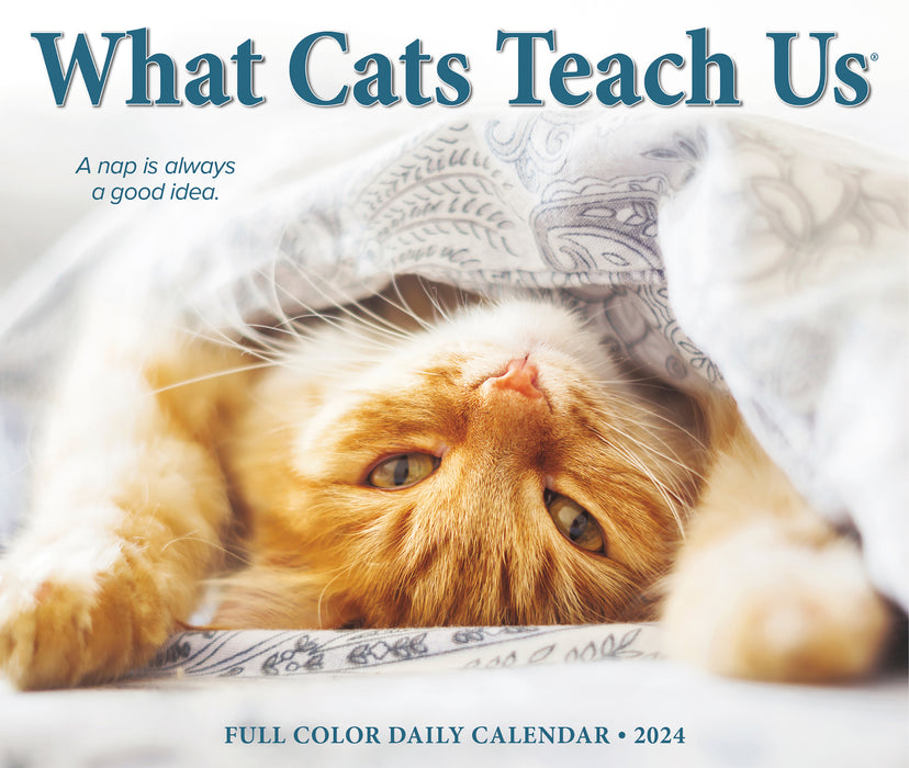 2024 What Cats Teach Us Page-A-Day