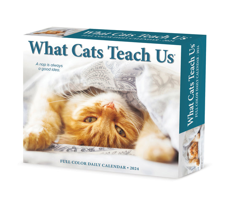 2024 What Cats Teach Us Page-A-Day