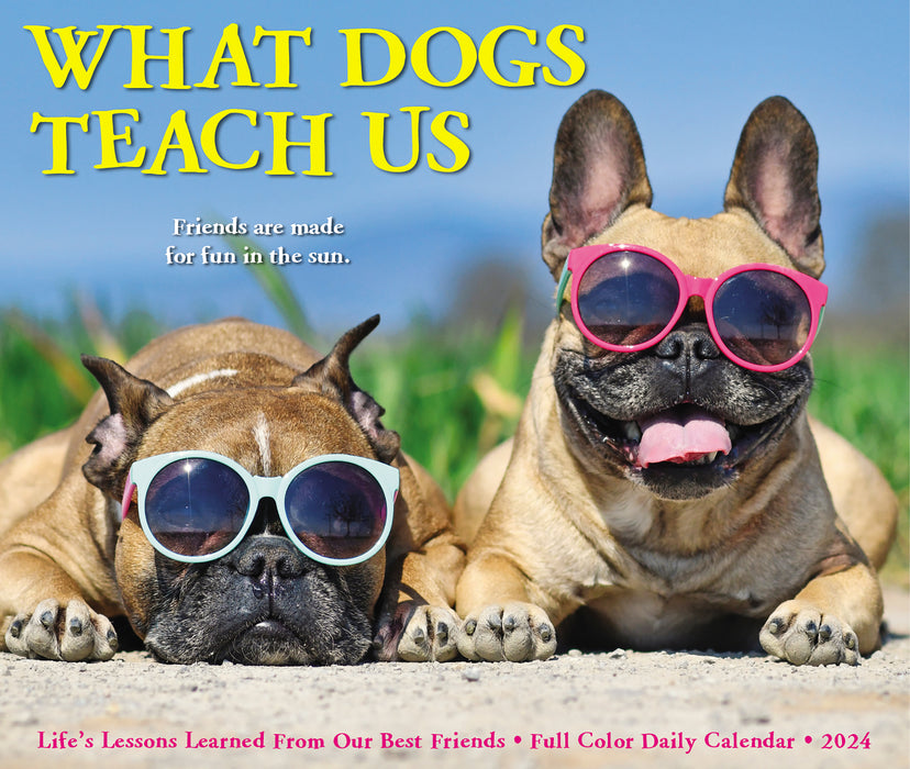 2024 What Dogs Teach Us Page-A-Day