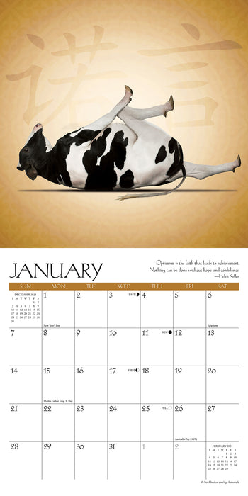 2024 Cow Yoga Mini Wall Calendar