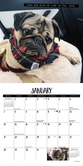 2024 Doug the Pug Mini Wall Calendar