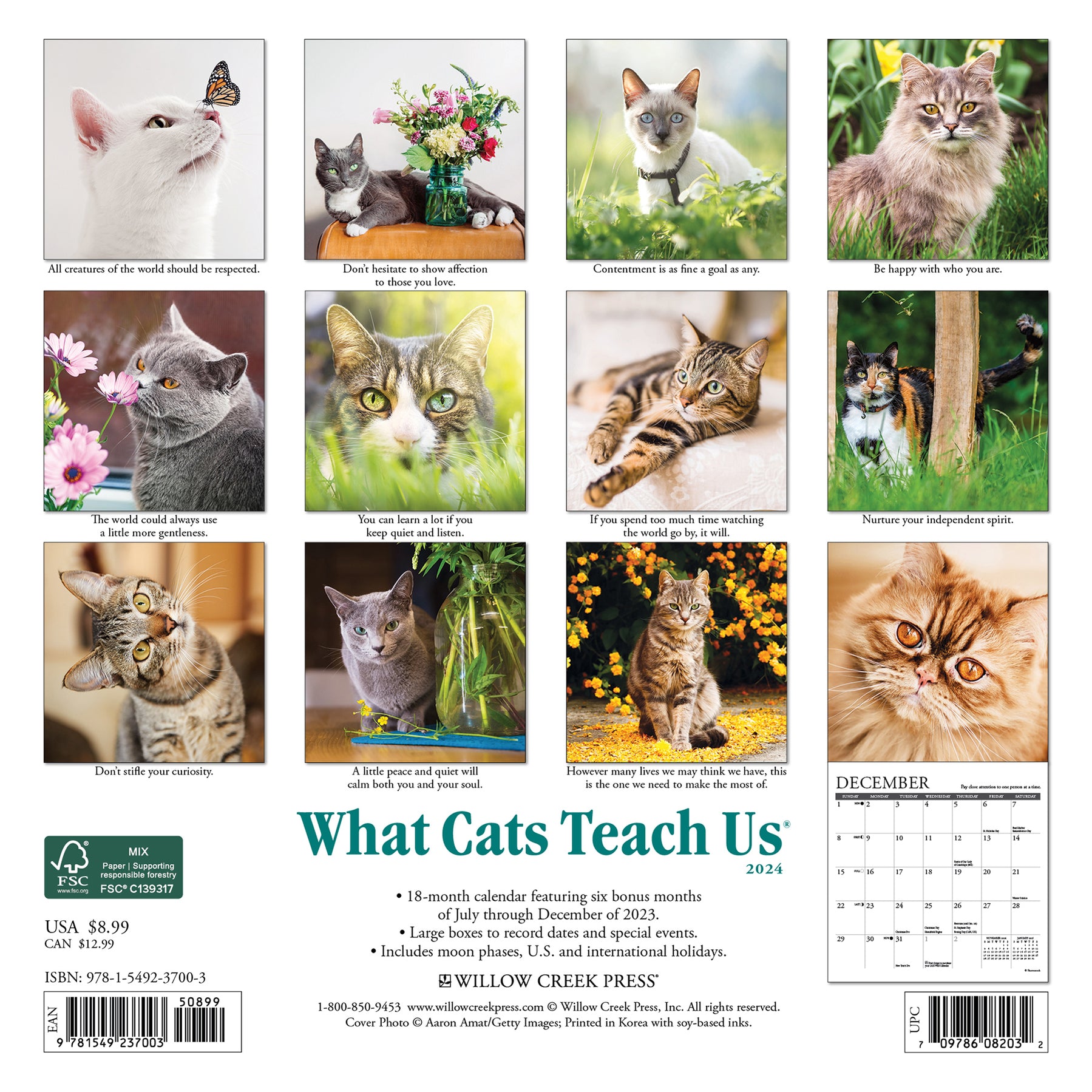 2024 What Cats Teach Us Mini Wall Calendar — Calendar Club