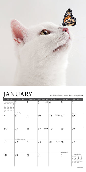 2024 What Cats Teach Us Mini Wall Calendar