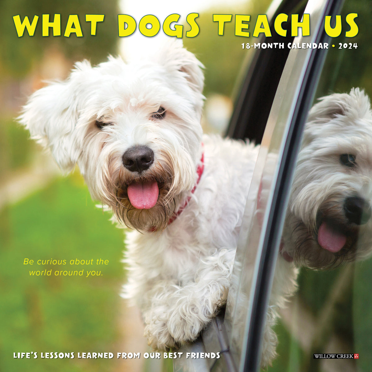 2024 What Dogs Teach Us Mini Wall Calendar — Calendar Club