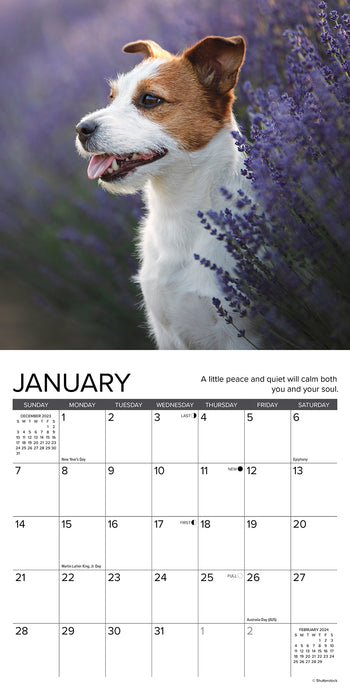 2024 What Dogs Teach Us Mini Wall Calendar