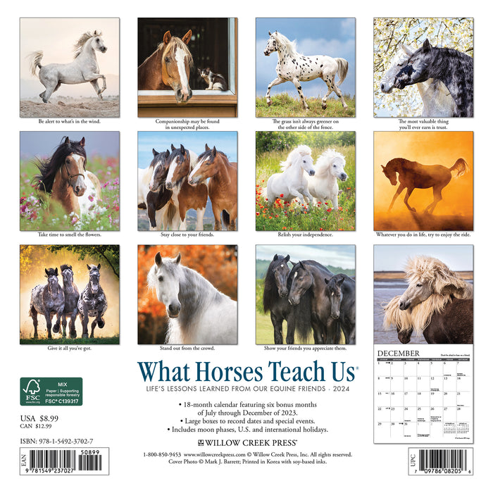 2024 What Horses Teach Us Mini Wall Calendar