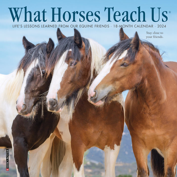 2024 What Horses Teach Us Mini Wall Calendar