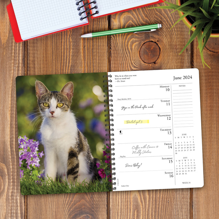 2024 What Cats Teach Us Diary