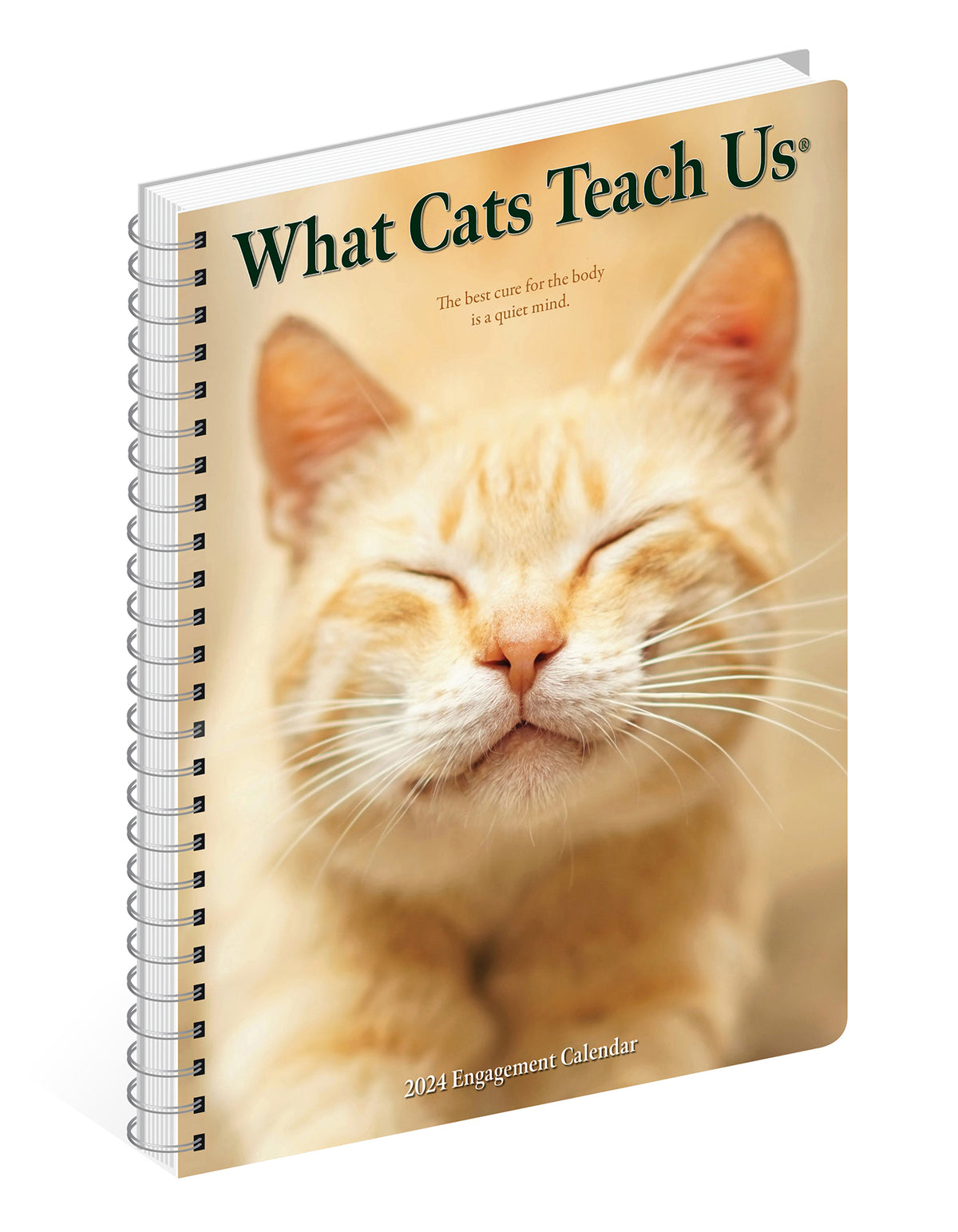 2024 What Cats Teach Us Diary — Calendar Club