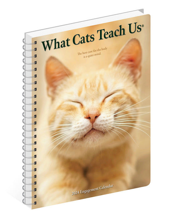 2024 What Cats Teach Us Diary