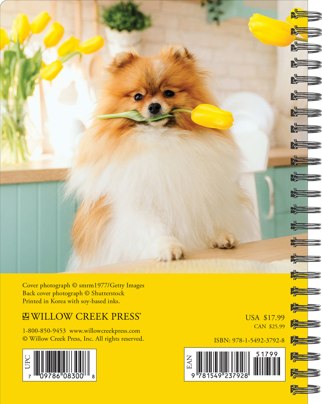 2024 What Dogs Teach Us Diary — Calendar Club