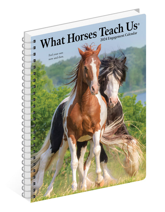 2024 What Horses Teach Us Diary
