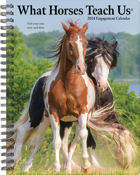 2024 What Horses Teach Us Diary