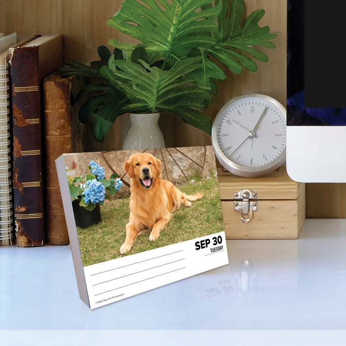 2025 Goldens Page-A-Day Calendar